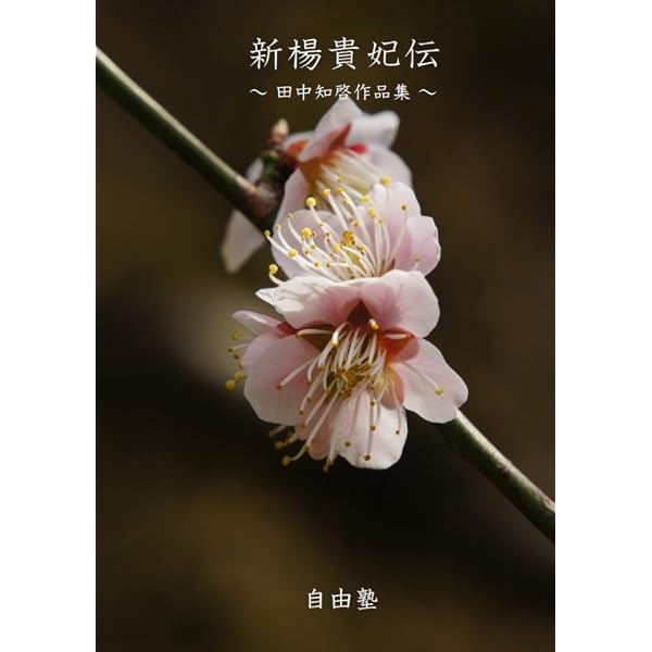楊貴妃伝 (講談社文庫 い 5-11) | 井上 靖 |本 | 通販 | Amazon